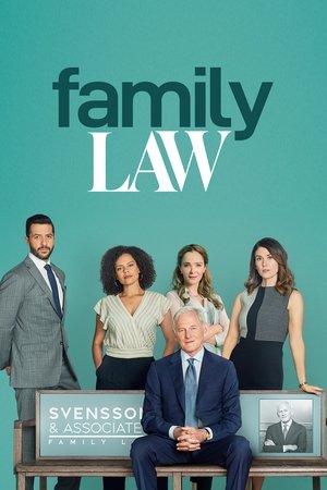 Poster for Family Law: Season 2