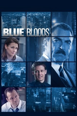 Poster for Blue Bloods: Season 6