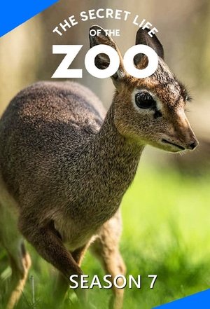 Poster for The Secret Life of the Zoo: Season 7