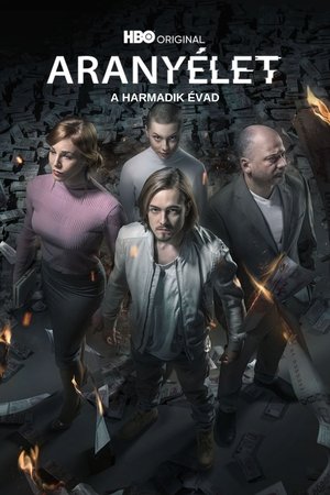 Poster for Golden Life: Season 3