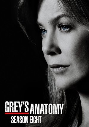 Poster for Grey's Anatomy: Season 8