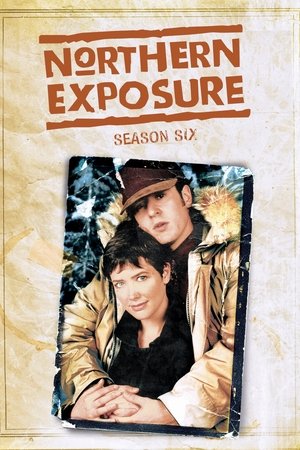 Poster for Northern Exposure: Season 6