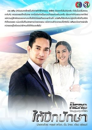 Poster for My Hero Series: Under the Bird’s Wings