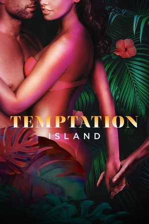 Poster for Temptation Island: Season 5