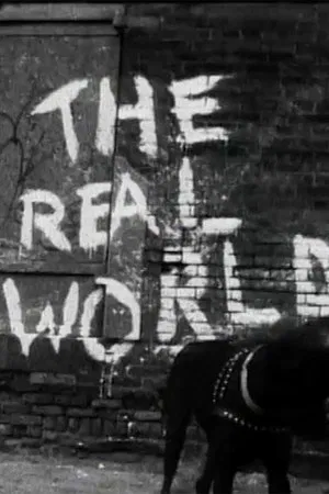 Poster for The Real World: New York City