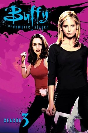 Poster for Buffy the Vampire Slayer