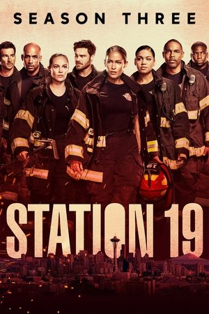 Poster for Station 19: Season 3