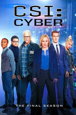 Poster for CSI: Cyber: Season 2