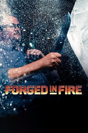 Poster for Forged in Fire: Season 5
