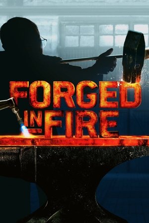 Poster for Forged in Fire: Season 9
