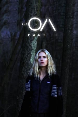 Poster for The OA: Part I