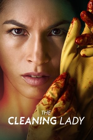 Poster for The Cleaning Lady: Season 1