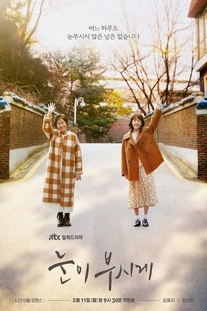 Poster for The Light in Your Eyes: Season 1