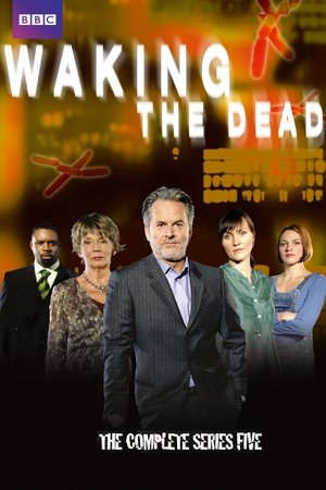 Poster for Waking the Dead: Series 5