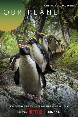 Poster for Our Planet: Our Planet II