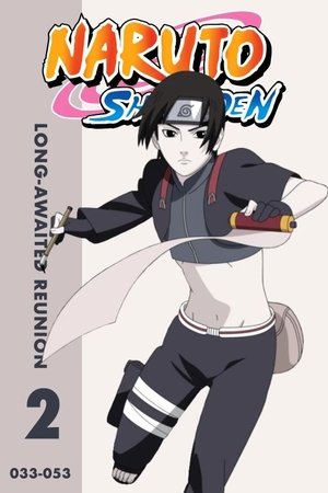 Poster for Naruto Shippūden: S2 • Long-Awaited Reunion
