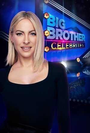 Poster for Big Brother Célébrités: Season 3