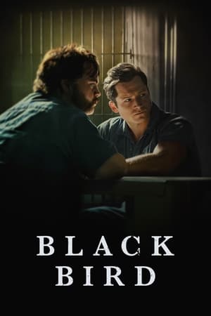 Poster for Black Bird