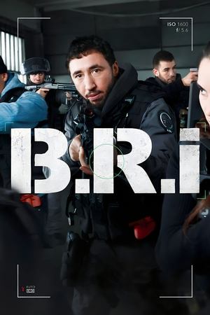 Poster for The Brigade: Season 1