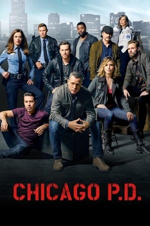 Poster for Chicago P.D.: Season 3
