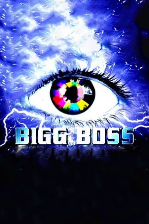Poster for Bigg Boss: Season 1