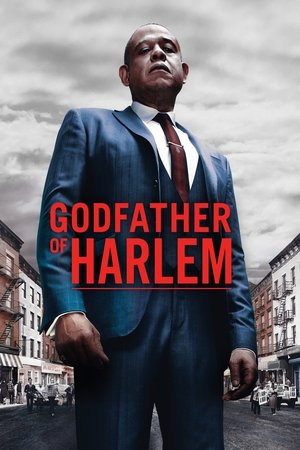 Poster for Godfather of Harlem: Season 1