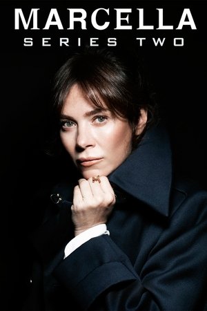 Poster for Marcella: Series 2