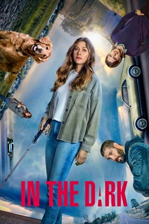 Poster for In the Dark: Season 3