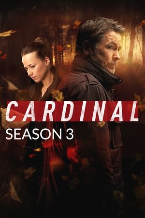 Poster for Cardinal: By the Time You Read This
