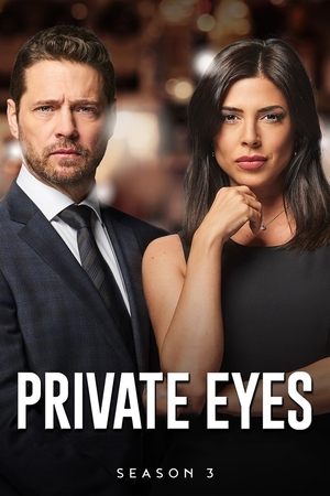 Poster for Private Eyes: Season 3