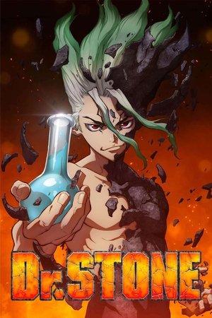 Poster for Dr. STONE