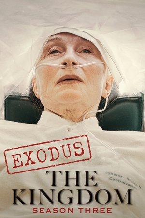 Poster for The Kingdom: Exodus