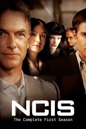 Poster for NCIS: Season 1