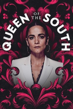 Poster for Queen of the South: Season 5
