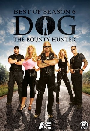 Poster for Dog the Bounty Hunter: Season 6