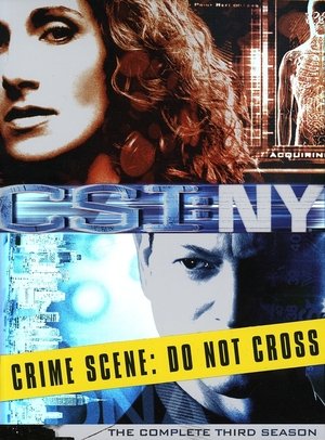 Poster for CSI: NY: Season 3