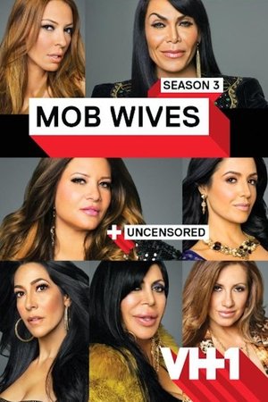 Poster for Mob Wives: Season 3