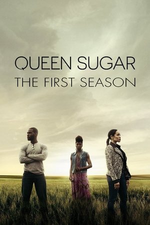 Poster for Queen Sugar: Season 1
