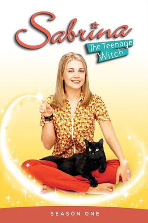 Poster for Sabrina, the Teenage Witch: Season 1