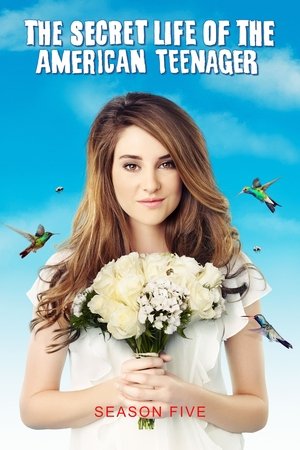 Poster for The Secret Life of the American Teenager: Season 5