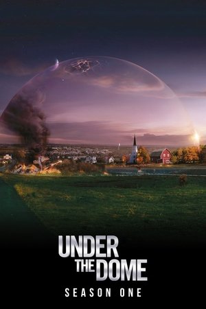 Poster for Under the Dome: Season 1