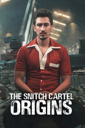 Poster for The Snitch Cartel: Origins: Season 1