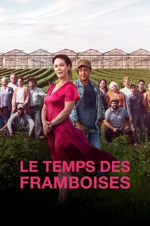 Poster for Le temps des framboises: Season 2