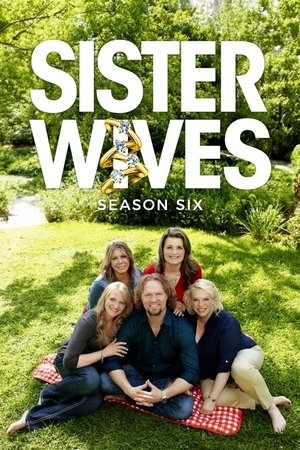 Poster for Sister Wives: Season 4