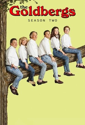 Poster for The Goldbergs: Season 2