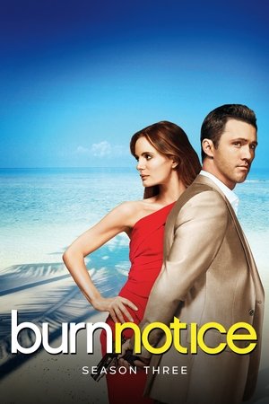 Poster for Burn Notice: Season 3