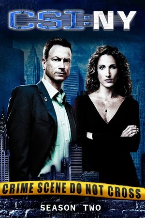 Poster for CSI: NY: Season 2