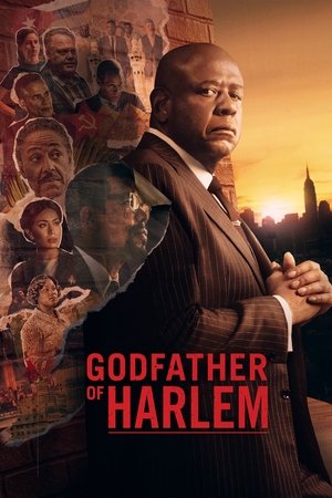 Poster for Godfather of Harlem: Season 3