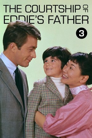 Poster for The Courtship of Eddie's Father: Season 3