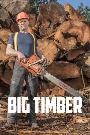 Poster for Big Timber: Season 1
